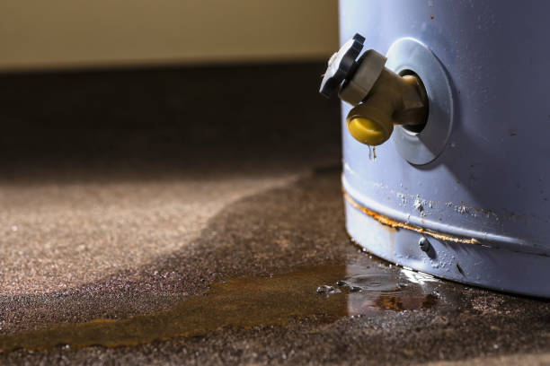 Trusted Grapevine, TX Water damage restoration Experts