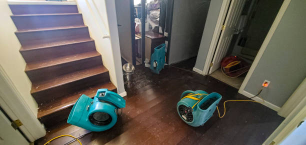 Best Flood restoration services  in Grapevine, TX