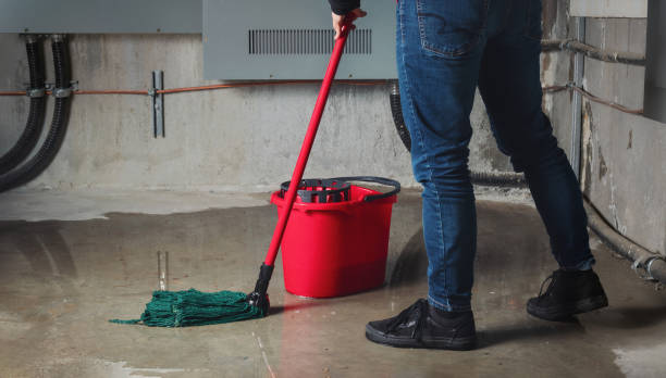 Best Residential water damage restoration  in Grapevine, TX
