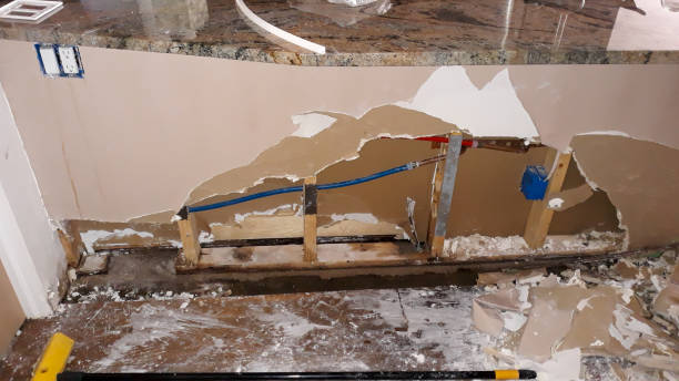 Best Local water damage restoration  in Grapevine, TX