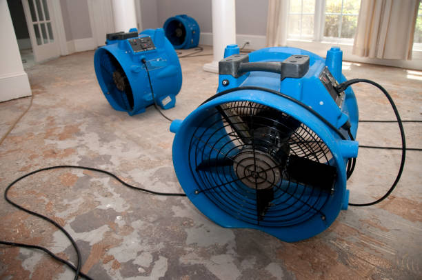 Best Water damage restoration near me  in Grapevine, TX
