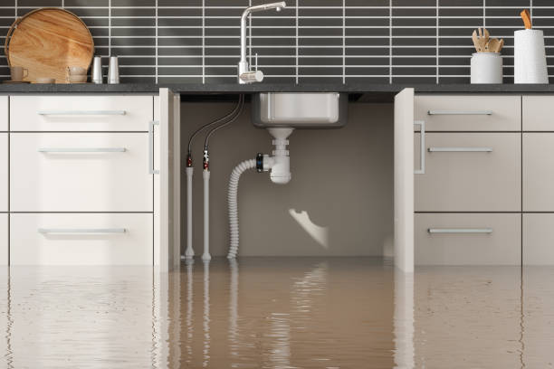 Best Flood damage cleanup  in Grapevine, TX
