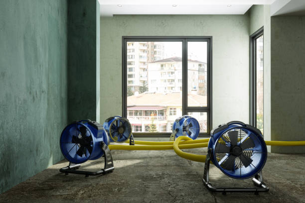 Best 24/7 water damage repair  in Grapevine, TX