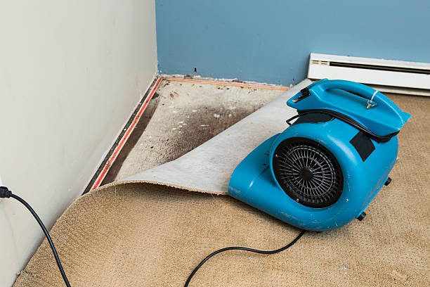 Best 24-hour water damage restoration  in Grapevine, TX